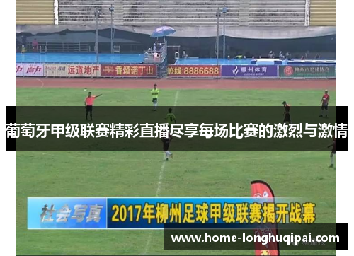 葡萄牙甲级联赛精彩直播尽享每场比赛的激烈与激情