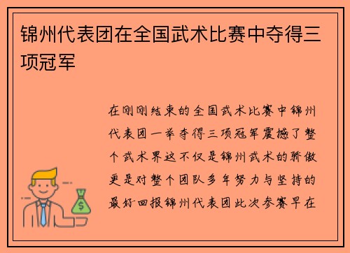 锦州代表团在全国武术比赛中夺得三项冠军